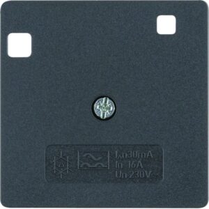 Zentralplatte für FI-Schutzschalter, anthrazit matt, Berker 14961606