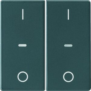 KNX Q.x Abdeckung für Tastsensor Modul mit I/O Symbol 2fach anthrazit samt, Berker 80962326