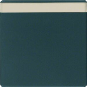 Wippe mit Beschriftungsfeld Berker Q.1/Q.3 anthrazit, samt, Berker 16266086