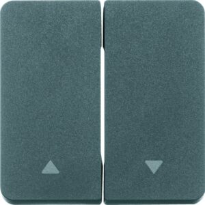 W.1 Wippe 2fach, Symbol Pfeil, grau, Berker 30753535