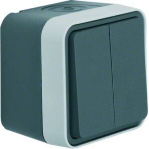 Serientaster, 2 Wechsler AP Berker W.1 grau/lichtgrau matt, Berker 50753515