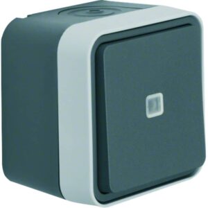 Kontroll-Wechselschalter AP Berker W.1 grau/lichtgrau matt, Berker 31763505