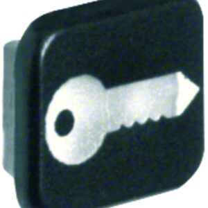 Linse mit Aufdruck Linse mit Aufdruck Symbol für Türöffner Berker W.1 transparen, Berker 18223503