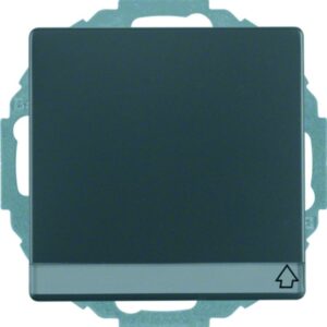 Steckdose SCHUKO mit Klappdeckel und Beschriftungsfeld Berker Q.1/Q.3 anthrazit,, Berker 47466086