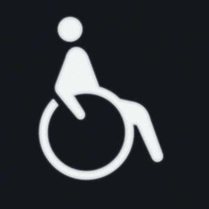 Folie mit Aufdruck Symbol Rollstuhl für LED-Signallicht Zubehör, Berker 19058003