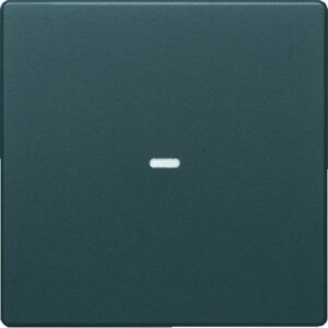 KNX Q.x Abdeckung 1fach mit klarer Linse, anthrazit samt, Berker 80960226