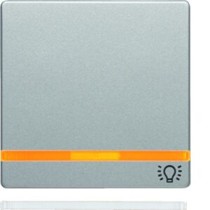 Q.x Wippe mit Linse und Aufdruck Symbol Licht, alu samt, Berker 16216074