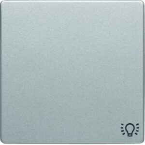 Q.x Wippe mit Aufdruck Symbol Licht, alu samt, Berker 16206044
