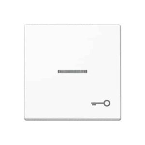 Wippe, Symbol Tür, Linse, Lichtleiter, für beleuchtbare Taster JUNG A590KO5TWW