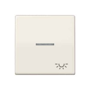Wippe, Symbol Licht, Linse, Lichtleiter, Zentralplatte, antibakteriell, für beleuchtbare Taster JUNG ABAS591KO5L