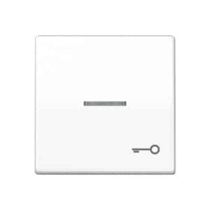 Wippe, Symbol Tür, Linse, Lichtleiter, Zentralplatte, für beleuchtbare Taster JUNG AS591KO5TWW