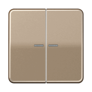 KNX RF Taster 2-fach Jung CD10921STRFGB