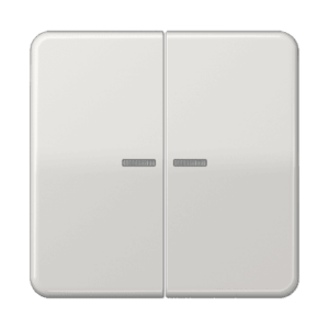 KNX RF Taster 2-fach Jung CD10921STRFLG