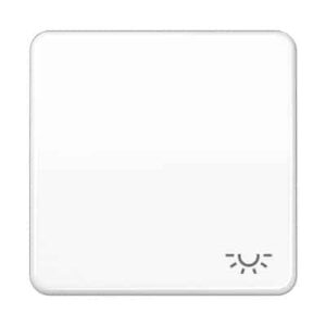 Wippe, Symbol Licht, bruchsicher, für Wippschalter, Tastschalter und Taster JUNG CD590BFLWW