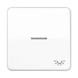 Wippe, Symbol Licht, Linse, Lichtleiter, für beleuchtbare Taster JUNG CD590KO5LWW