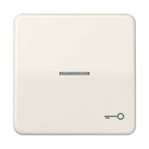Wippe, Symbol Tür, Linse, Lichtleiter, für beleuchtbare Taster JUNG CD590KO5T