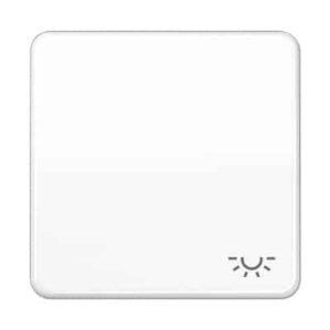 Wippe, Symbol Licht, für Taster JUNG CD590LWW