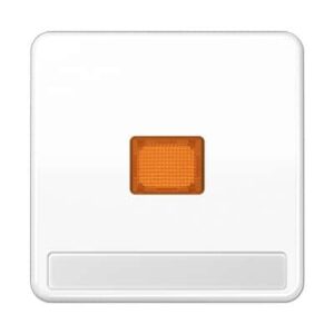 Wippe, orangefarbenes Lichtaustrittsfenster, Schriftfeld, für Kontrollsch., ... JUNG CD590NAKOWW