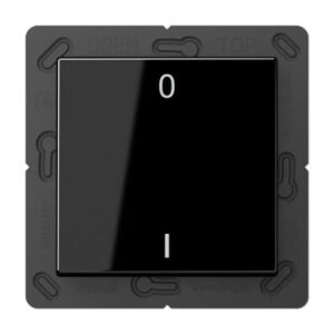 EnOcean Funk-Wandsender, Symbole 01, 2-kanalig JUNG ENOA590-01SW