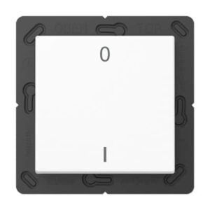 EnOcean Funk-Wandsender, Symbole 01, 2-kanalig JUNG ENOA590-01WW