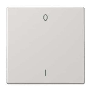 EnOcean Funk-Wandsender, Symbole 01, 2-kanalig JUNG ENOLS990-01LG