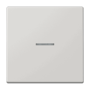 KNX RF Taster 1-fach Jung LS10911STRFLG
