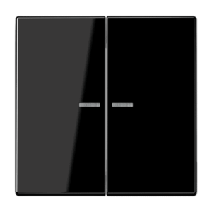 KNX RF Taster 2-fach Jung LS10921STRFSW