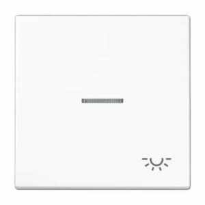 Wippe, Symbol Licht, Linse, Lichtleiter, für beleuchtbare Taster JUNG LS990KO5LWW