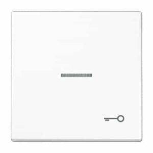 Wippe, Symbol Tür, Linse, Lichtleiter, für beleuchtbare Taster JUNG LS990KO5TWW