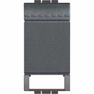 Wippe Adaptierbar 1-Modulig Anthrazit Bticino L4911TN
