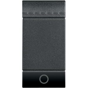 Wippe + Lichtsymbol 1-Modulig Anthrazit Bticino L4915AN