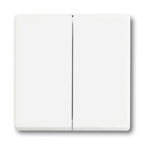 Wippe 2-fach für Bedienelement Smart Switch  Plattform 63 6736 FoH-884 Busch Jaeger 2CKA006730A0140