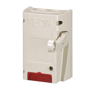 Feuerwehrschalter IP65-IK 08, 2-polig, mit Signal LED, (HxBxT): 143 x 100 x 65mm Legrand 038050