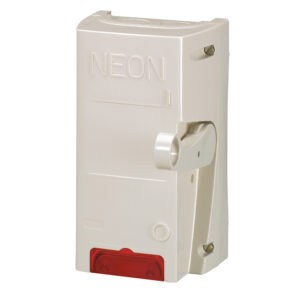 Feuerwehrschalter IP65-IK08, 4-polig, mit Signal LED, (HxBxT): 172 x 101 x 73 mm Legrand 038052