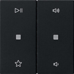 Wippe 2f Audiostrg System 55 Schwarz m Gira 5384005