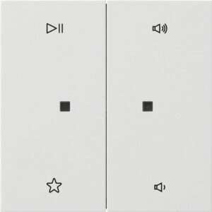 Wippe 2f Audiostrg Flächenschalter Reinweiß Gira 5384112