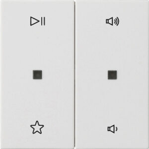 Wippe 2f Audiostrg System 55 Reinweiß m Gira 538427