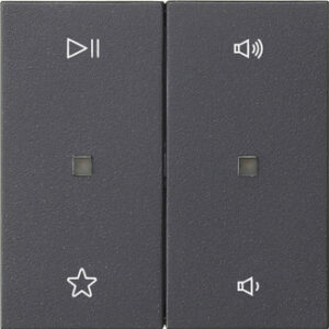 Wippe 2f Audiostrg System 55 Anthrazit Gira 538428