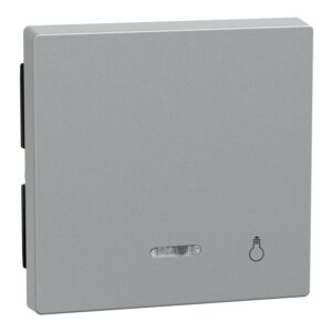 Wippe mit Kontrollfenster und Aufdruck Licht, aluminium, System M, Merten 430960