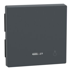 Wippe mit Kontrollfenster und Aufdruck Licht, anthrazit, System M, Merten 430914