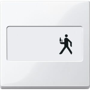 Wippe mit Schriftfeld, polarweiß glänzend, System M, Merten 432319