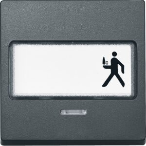 Wippe mit Schriftfeld und Kontrollfenster, anthrazit, System M, Merten 434614