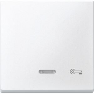Wippe mit Kontrollfenster und Aufdruck Schlüssel, polarweiß, System M, Merten 430719