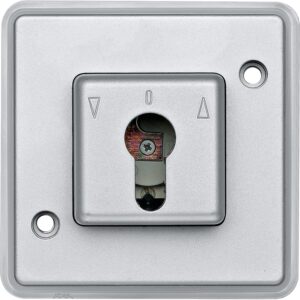 Rollladentaster-Einsatz für Schließzylinder, mattsilber, PANZER, Merten 318460