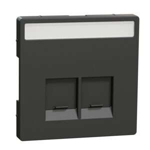 Zentralpl.m.Schriftf.f. Schneider Electric-Connector 2fach,Anthrazit,Sys. Design, Merten MEG4574-6034