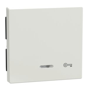 Wippe mit Kontrollfenster und Aufdruck Schlüssel, polarweiß glänzend, System M, Merten 435319