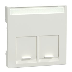 Zentralplatte für Schneider Electric-Connector 2fach, polarweiß glänzend, System M, Merten MEG4574-0319