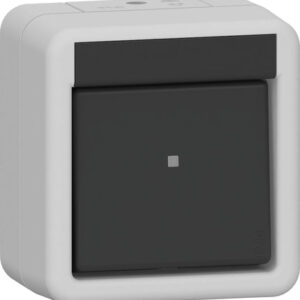 Wippschalter Aus 2-p WG AP Grau Gira 310230