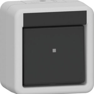 Wippschalter AusWe WG AP Grau Gira 310630