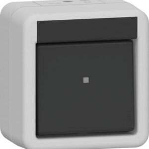 Wippschalter Kreuz WG AP Grau Gira 310730